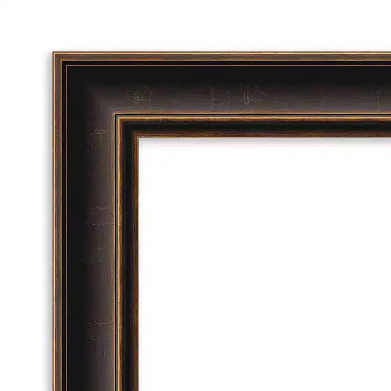 Specchio da parete Villa in legno da 24"x30", cornice in bronzo anticato, nessun assemblaggio - Amanti Art