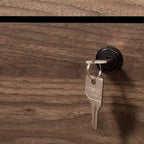 Letto singolo South Shore Twin Londen Marrone/Quercia Invecchiata: 3 cassetti, truciolare, capacità 113 kg
