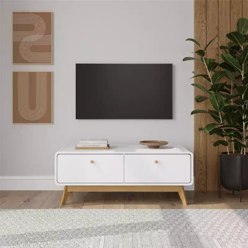 Ren Home Leva - Consolle portatv scandinava con 2 cassetti, curva, colore bianco