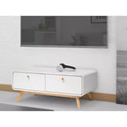 Ren Home Leva - Consolle portatv scandinava con 2 cassetti, curva, colore bianco