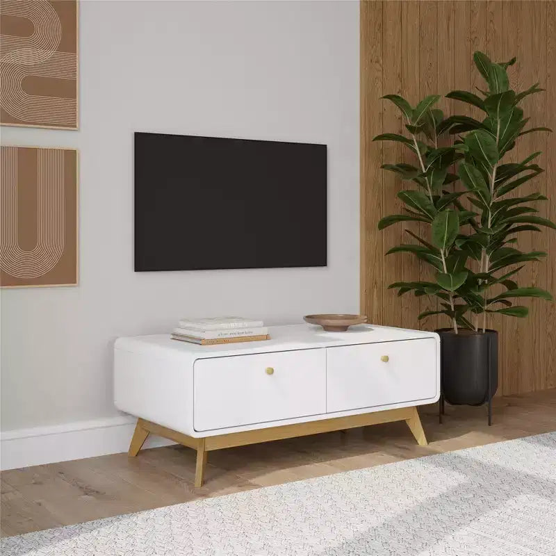 Ren Home Leva - Consolle portatv scandinava con 2 cassetti, curva, colore bianco