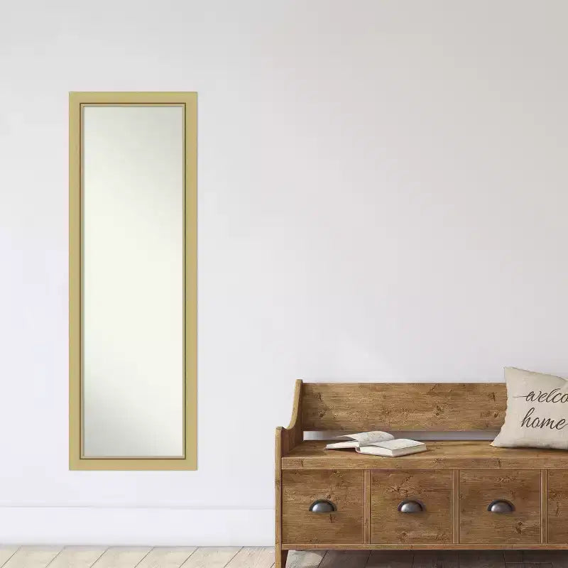 Amanti Art Landon Gold Stretta Non Smussata Specchio da Porta Specchio a Figura Intera, Specchio da Parete 51,5 in x 17,5 in.