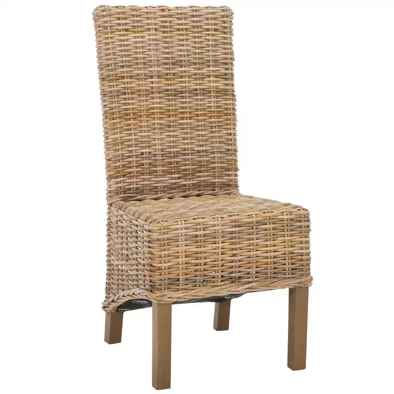 Pembrooke 19 H Sedia in Rattan (Set di 2) - FOX6520 - Safavieh Couture