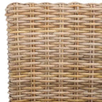 Pembrooke 19 H Sedia in Rattan (Set di 2) - FOX6520 - Safavieh Couture