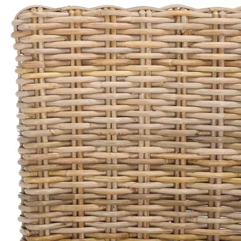 Pembrooke 19 H Sedia in Rattan (Set di 2) - FOX6520 - Safavieh Couture
