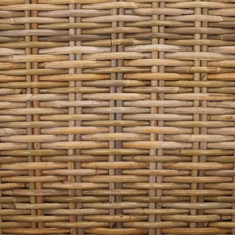 Pembrooke 19 H Sedia in Rattan (Set di 2) - FOX6520 - Safavieh Couture