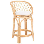 Sgabello da bancone Yuta in rattan con cuscino - BST6504 - Safavieh