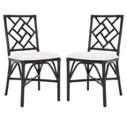 Poltrona Bhumi con cuscino - ACH6509 - Set da 2 - Safavieh