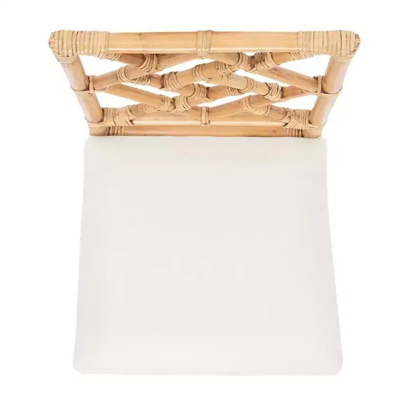 Poltrona Bhumi con cuscino - ACH6509 - Set da 2 - Safavieh