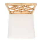 Poltrona Bhumi con cuscino - ACH6509 - Set da 2 - Safavieh