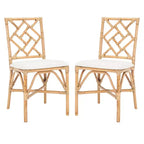Poltrona Bhumi con cuscino - ACH6509 - Set da 2 - Safavieh