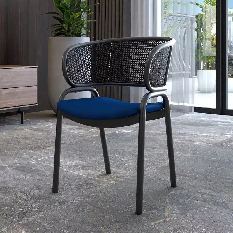 LeisureMod Ervilla Sedia da Pranzo Moderna – Comoda Poltrona Imbottita con Braccioli e Gambe in Ferro Nero, per Cucina, Sala da Pranzo, Caffè, Ristorante
